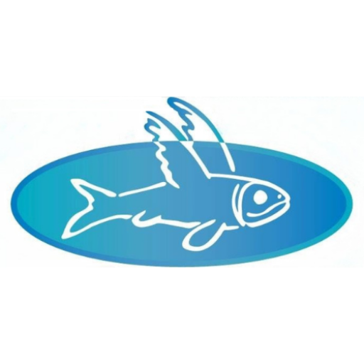 Fair Blue Flying Fish Swim Team